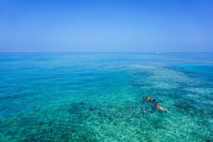 snorkeling in an offshore reef